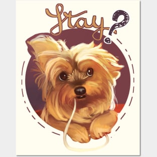 Trufa the Yorkie Posters and Art